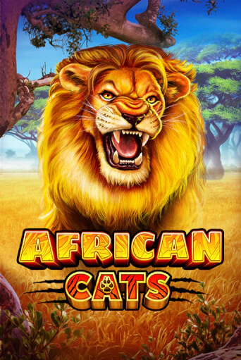 African Cats играть демо | Слотозал без регистрации