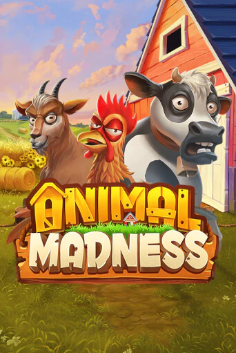 Animal Madness играть демо | Слотозал без регистрации