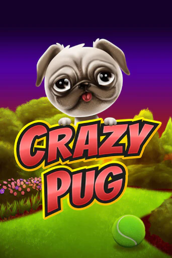 Crazy Pug играть демо | Слотозал без регистрации