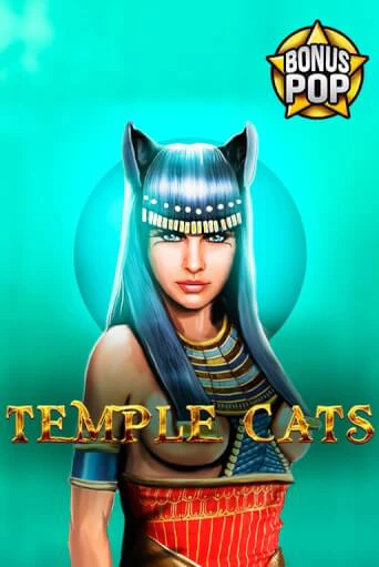 Temple Cats играть демо | Слотозал без регистрации