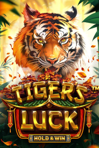 Tiger's Luck - Hold & Win играть демо | Слотозал без регистрации