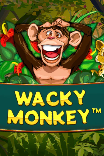 Wacky Monkey играть демо | Слотозал без регистрации