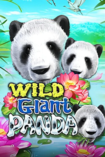 Wild Giant Panda играть демо | Слотозал без регистрации