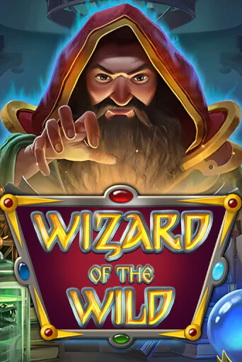 Wizard of the Wild играть демо | Слотозал без регистрации