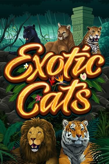 Exotic Cats играть демо | Слотозал без регистрации