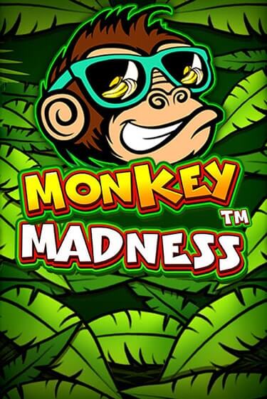 Monkey Madness играть демо | Слотозал без регистрации