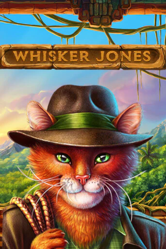 Whisker Jones играть демо | Слотозал без регистрации