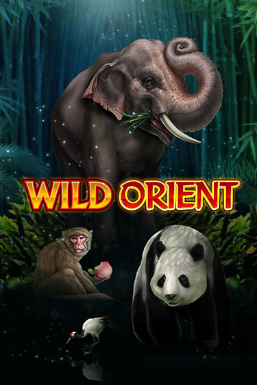 Wild Orient играть демо | Слотозал без регистрации